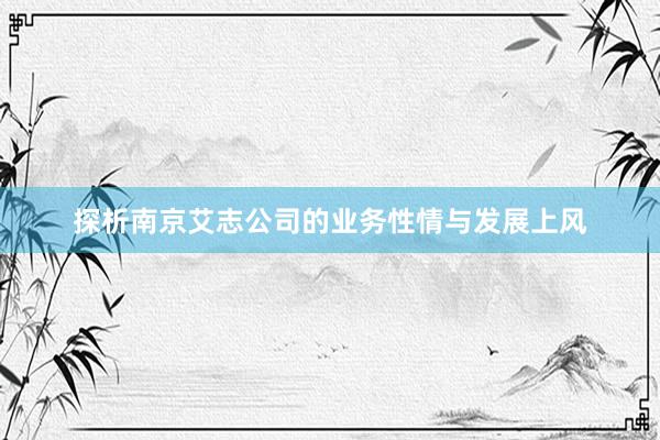 探析南京艾志公司的业务性情与发展上风