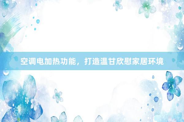 空调电加热功能，打造温甘欣慰家居环境